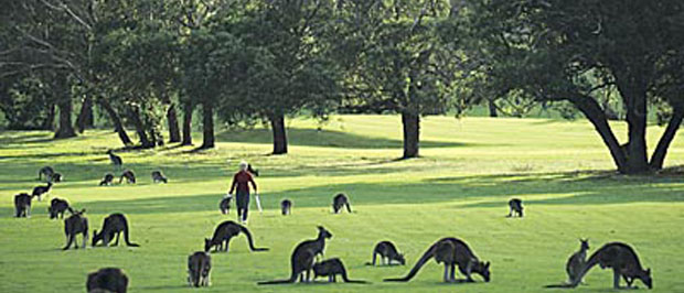 Pictures of Melbourne