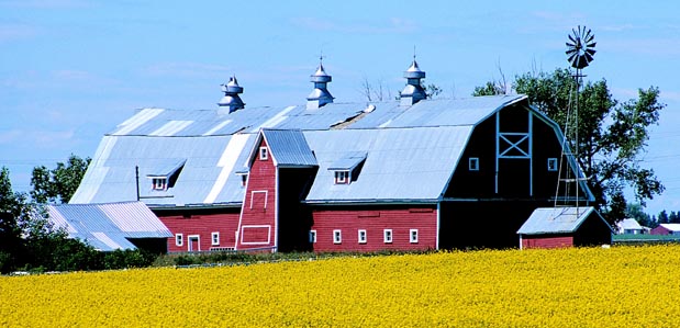 Pictures of Calgary