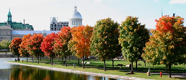 Pictures of Montréal