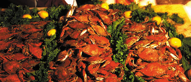 Pictures of Baltimore